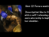 slide12