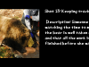 slide13