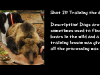 slide15