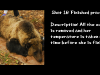 slide16