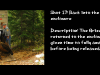 slide17