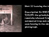 slide11